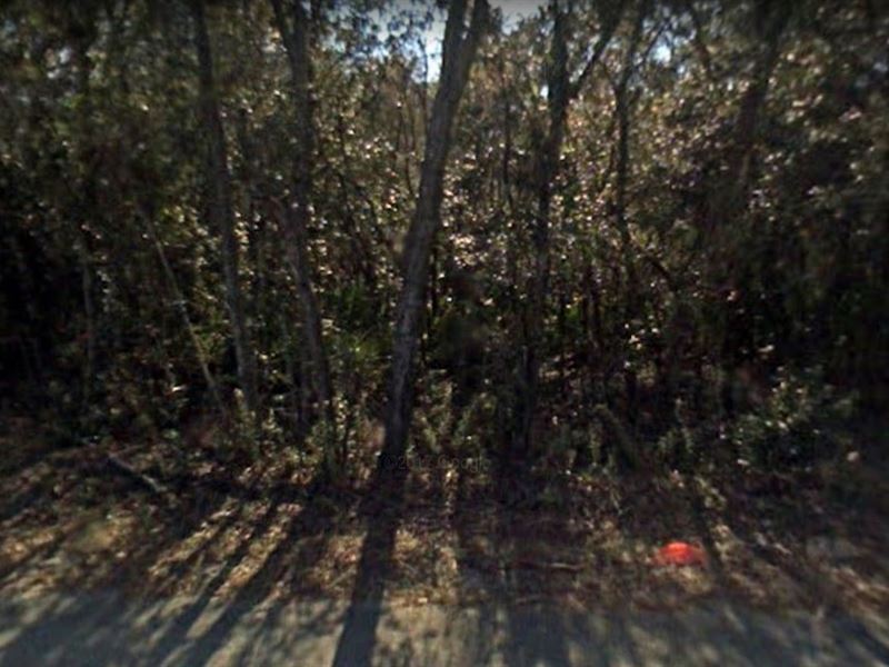 Breathtaking 0.27 Acres in Florida : White Springs : Columbia County : Florida