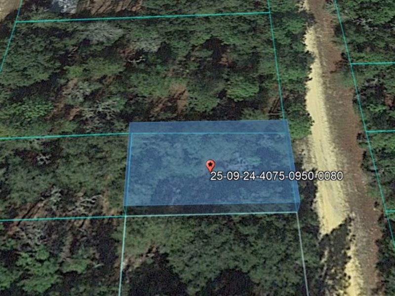 Destiny is Calling Your Name : Interlachen : Putnam County : Florida