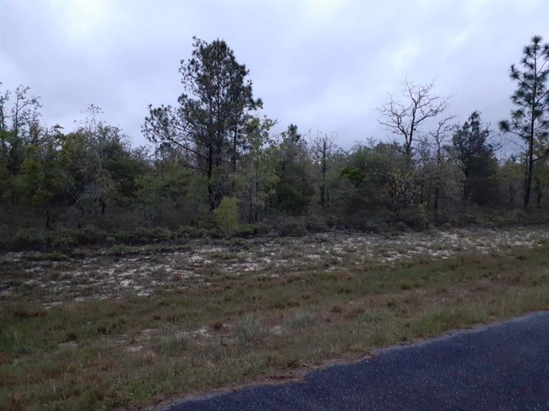 Priced To Sell : Chipley : Washington County : Florida