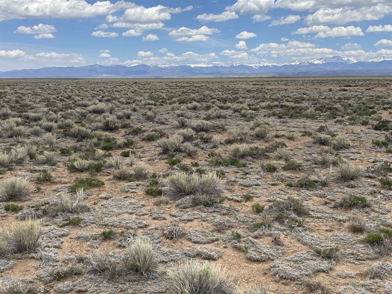 Off Grid Life is Right Here : San Luis : Costilla County : Colorado