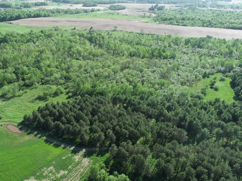 299 Acre Deer Preserve, Barron Co : Chetek : Barron County : Wisconsin