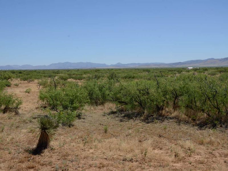 Super Nice, Ru-4 Zoning, $300/Month : Sunizona : Cochise County : Arizona