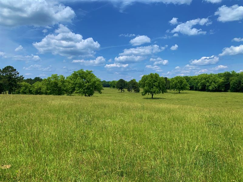 North Jasper Farm : Monticello : Jasper County : Georgia