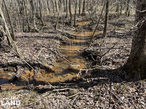 Splunge Creek Hunting Tract : Lynn : Winston County : Alabama