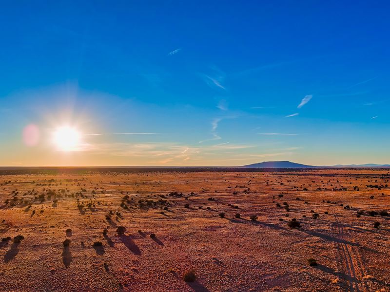 Beautiful Land Near Winslow Land for Sale by Owner in Winslow, Navajo