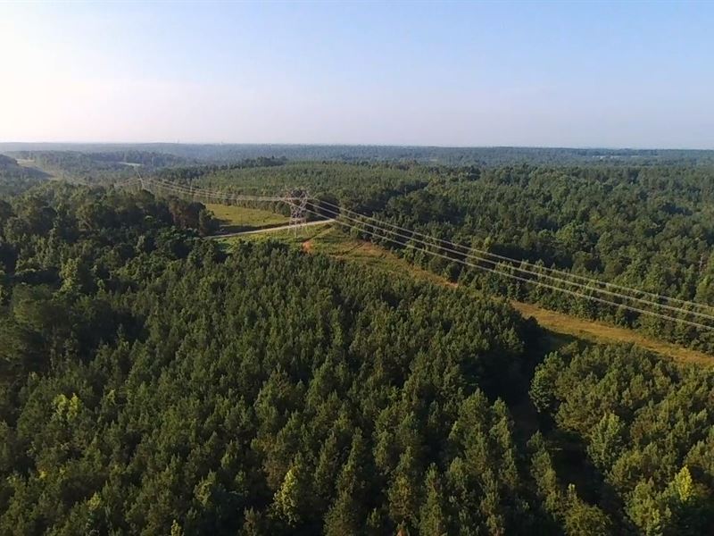 Alabama Black Belt Hunting Tract : Banks : Pike County : Alabama