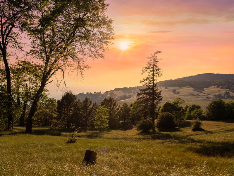 Solstice Ridge View Ranch : Palomar Mountain : San Diego County : California