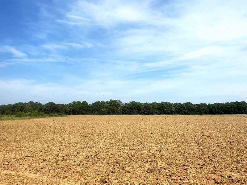 Beautiful Black Belt Farm : Sweet Water : Marengo County : Alabama