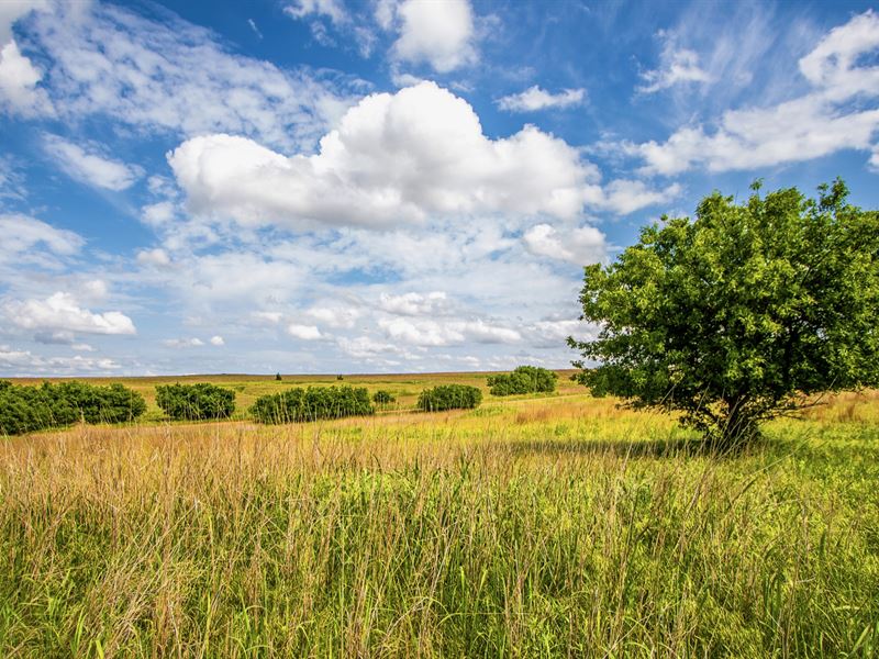 Ranch with Road Frontage & Pasture : Indiahoma : Tillman County : Oklahoma
