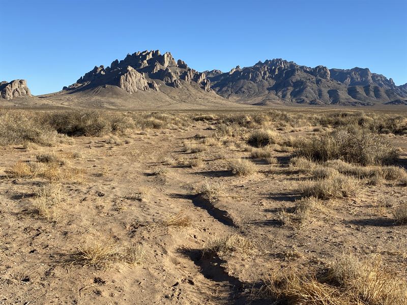 This One is for You : Deming : Luna County : New Mexico