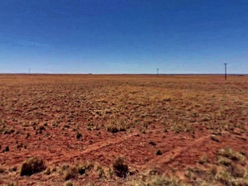 Simply Stunning : Holbrook : Navajo County : Arizona