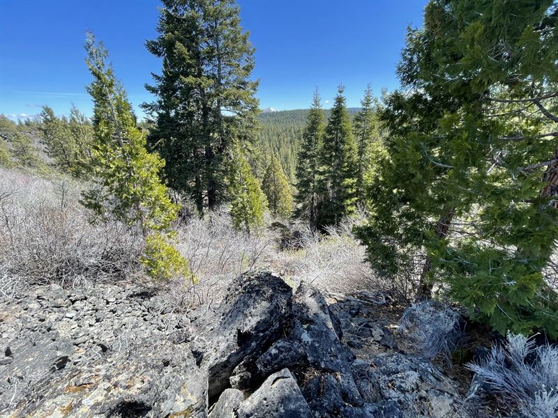Top Of The Hill, Seasonal Creek : Beatty : Klamath County : Oregon
