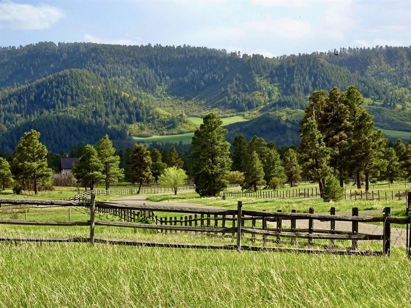 Chris Mountain Ranch 38 : Pagosa Springs : Archuleta County : Colorado