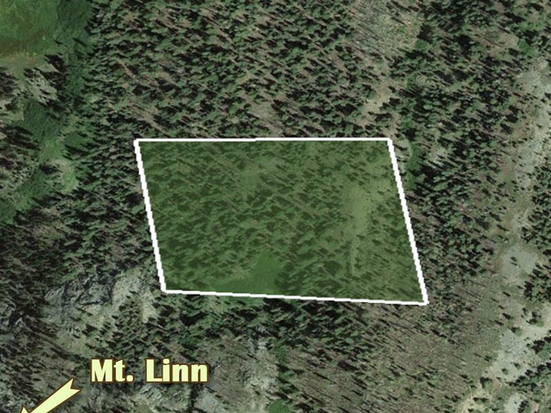Fun Filled Recreational Land : Paskenta : Tehama County : California