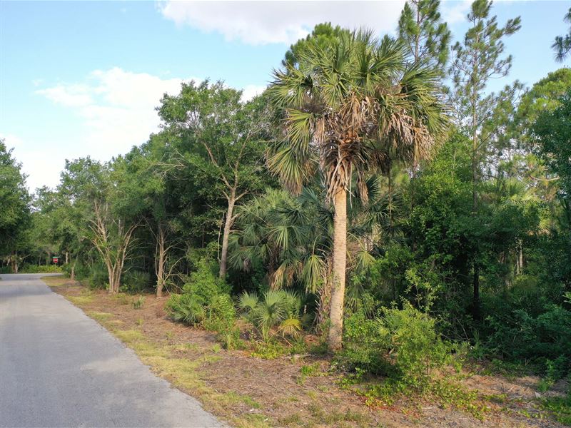 Ready To Build Florida Parcel : Punta Gorda : Charlotte County : Florida