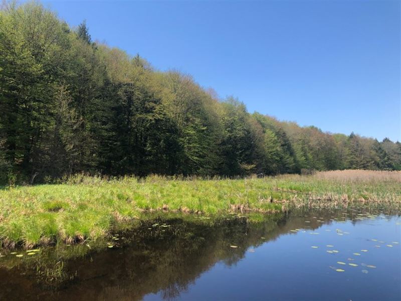 On Little River : Amboy : Oswego County : New York