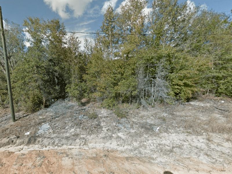 1 Acre for Sale in Interlachen, FL : Interlachen : Putnam County : Florida