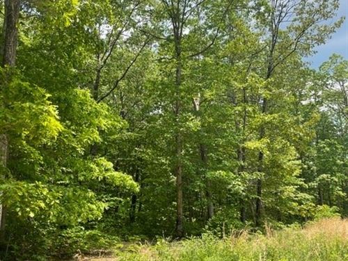 10.51 +/- Ac Wooded Lake Property : Altamont : Grundy County : Tennessee