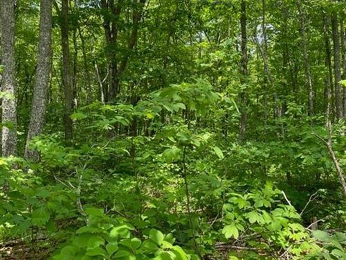 5 +/- Acres Wooded Property, Pond : Altamont : Grundy County : Tennessee