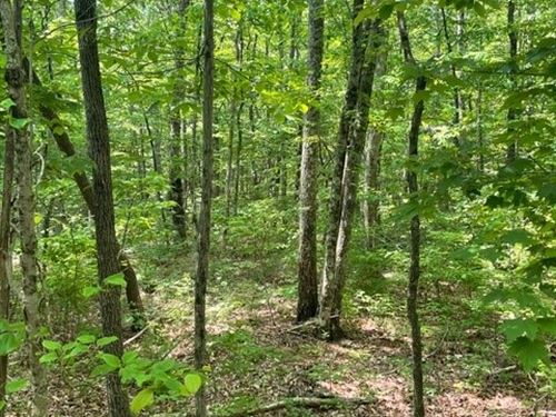 5.95 +/- Acres Beautiful, Wooded : Altamont : Grundy County : Tennessee