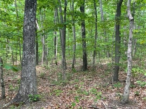 5.97 +/- Acres Beautiful, Wooded : Altamont : Grundy County : Tennessee