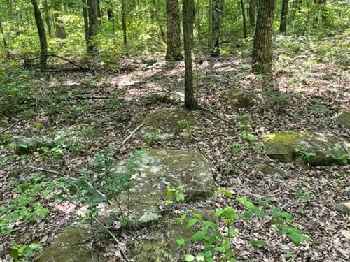 6.08 +/- Acres Wooded Property : Altamont : Grundy County : Tennessee