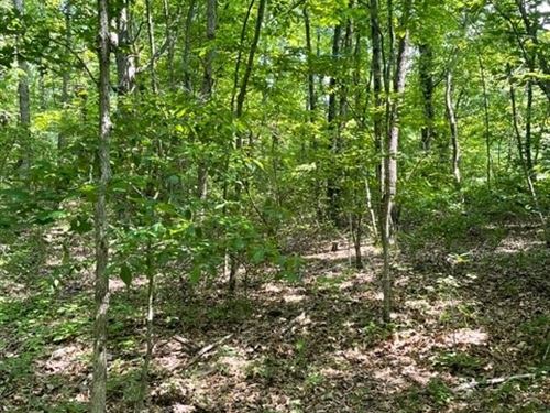 5.04 +/- Acres Beautiful, Wooded : Altamont : Grundy County : Tennessee