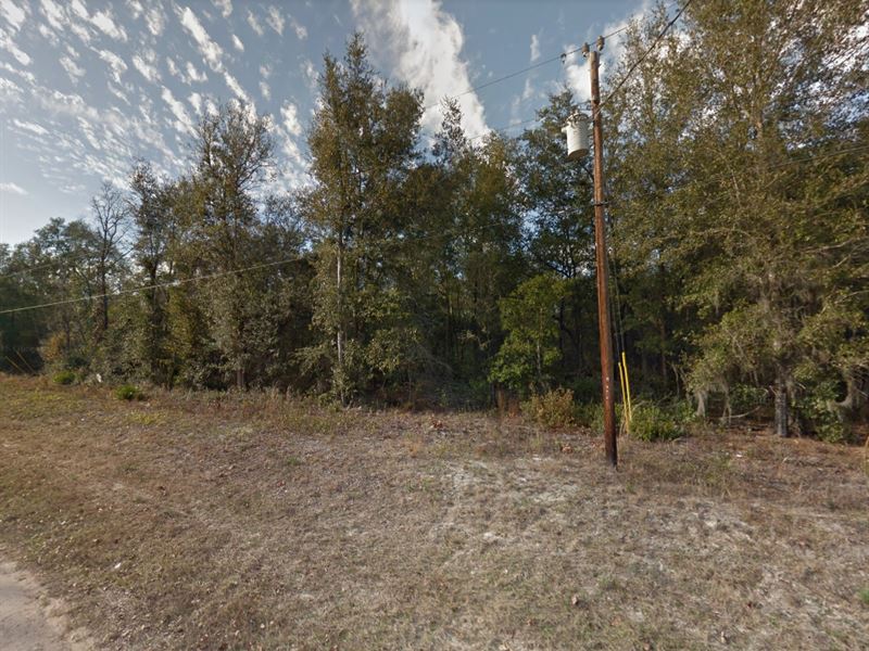 .22 Acres for Sale in Interlachen : Interlachen : Putnam County : Florida