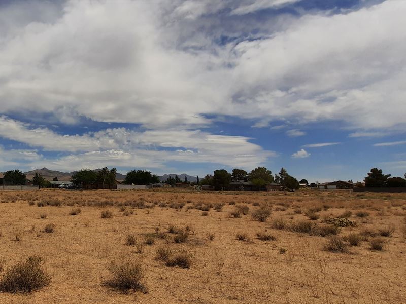 Early Bird Gets The Worm : Kingman : Mohave County : Arizona