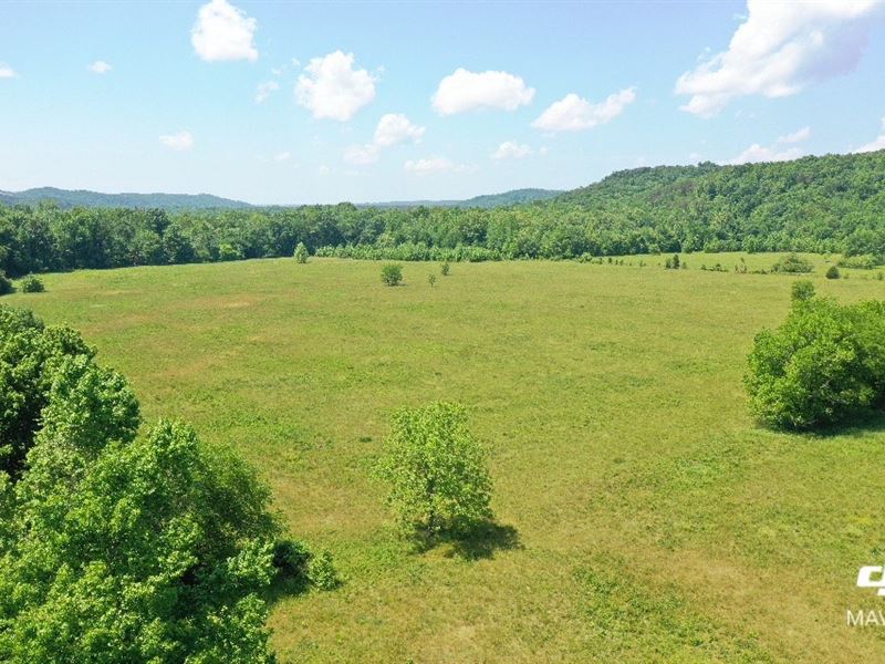 343 Acres Waterloo : Waterloo : Lauderdale County : Alabama