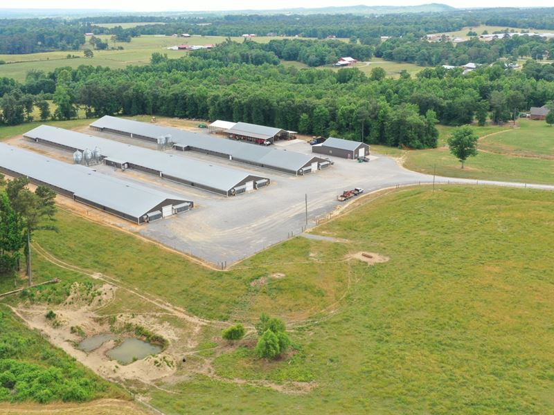 3 Mega-House Broiler Farm : Horton : Blount County : Alabama