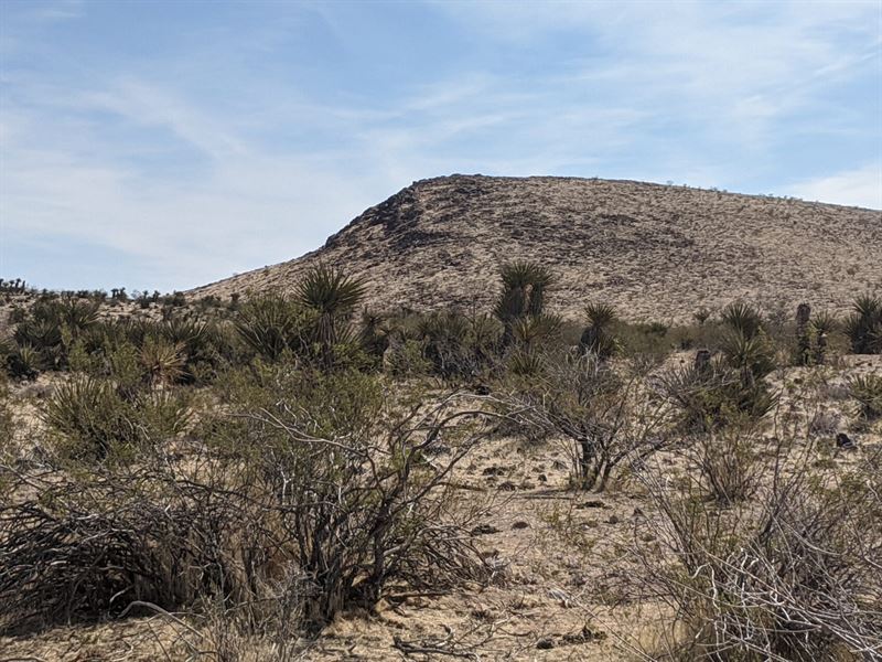 Your New Home Away From Home : Dolan Springs : Mohave County : Arizona