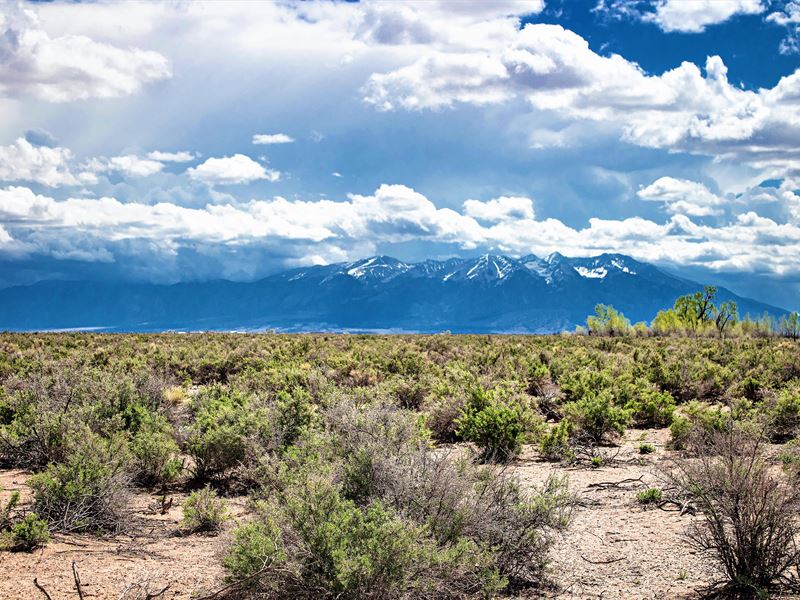 40 Ac Off-Grid with Mountain View : Alamosa : Alamosa County : Colorado