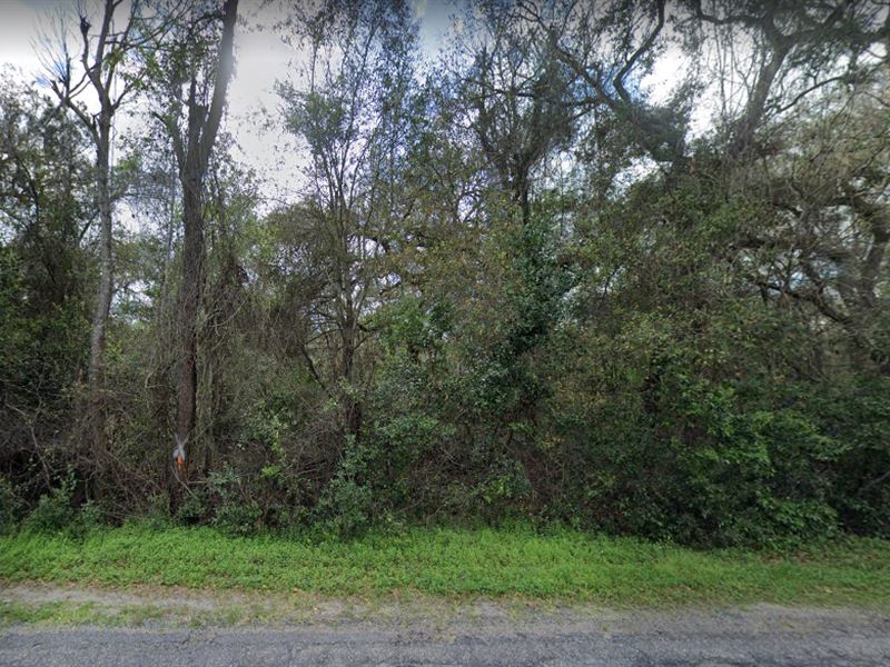4.6 Acres in Keystone Heights : Keystone Heights : Clay County : Florida