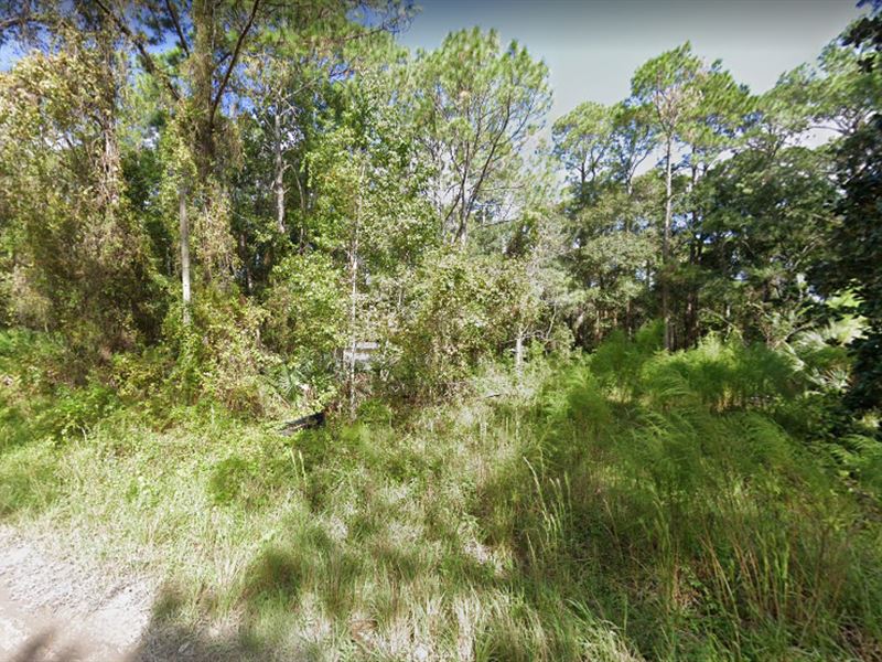 .18 Acres in New Port Richey : New Port Richey : Pasco County : Florida