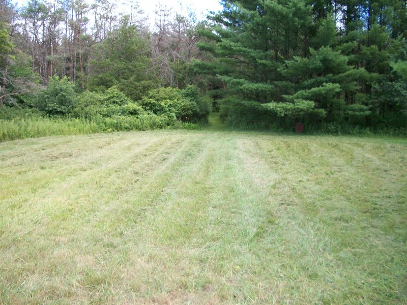 Deer & Turkey Hunting, No Zoning : Lyndon Station : Juneau County : Wisconsin