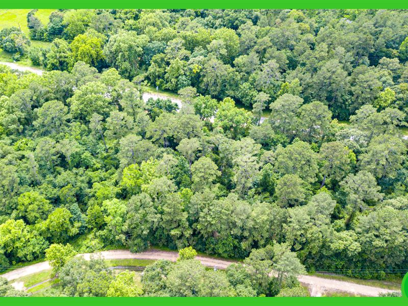 4 Adjacent Lots, Grimes County, TX : Plantersville : Grimes County : Texas