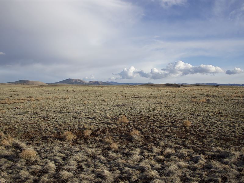 Solitude and Sanctuary on This Lot : Concho : Apache County : Arizona