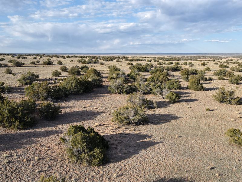 Make This 3.2 Acre Paradise Yours : Sanders : Apache County : Arizona
