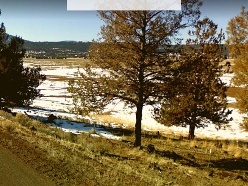 1.19 Acres Only $1 Down, $199/Month : California Pines : Modoc County : California