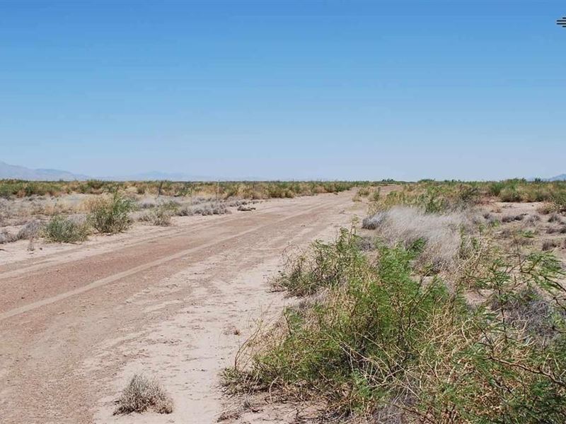 2.5 Acres Are Waiting for You : Deming : Luna County : New Mexico