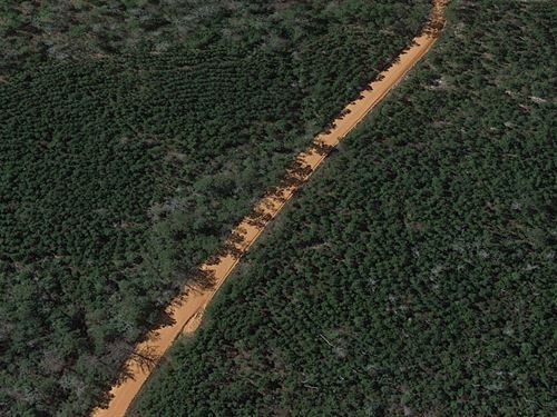 .12 Acres in Okaloosa County, FL : Okaloosa County : Okaloosa County : Florida