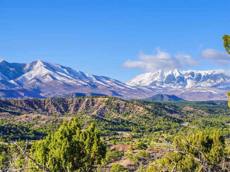 Hunting Land with Mountain Views : Walsenburg : Huerfano County : Colorado