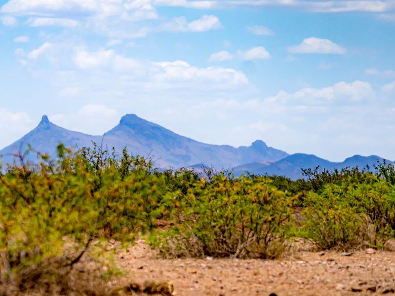 The Perfect 41 Acre Weekend Getaway : McNeal : Cochise County : Arizona