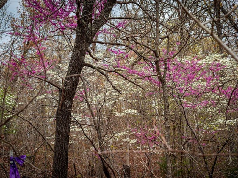 Beautiful Residential Land for Sale : Tunas : Dallas County : Missouri