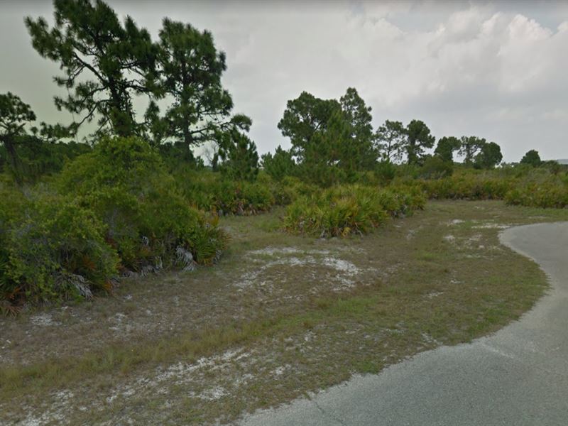 2 Lots, 0.25 Acres Each, in Placida : Placida : Charlotte County : Florida