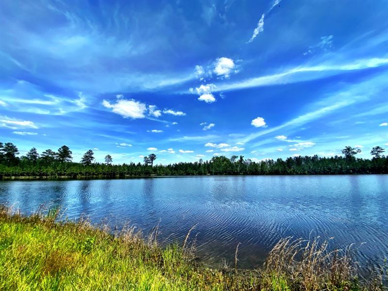 Sellers Farms, Oconee River Front : Toomsboro : Wilkinson County : Georgia