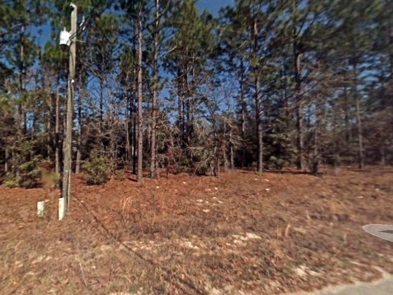 .86 Ac for Sale in Dunnellon, FL : Dunnellon : Marion County : Florida