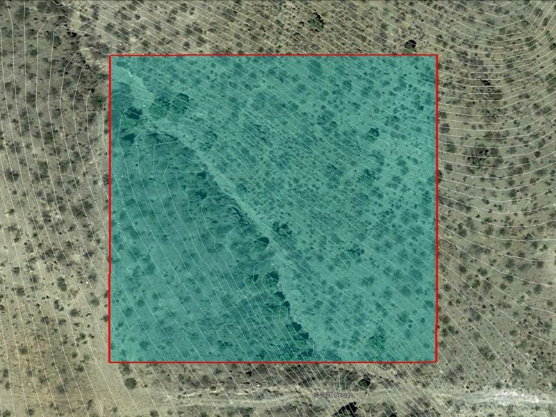 A Whole New Opportunity Awaits : Golden Valley : Mohave County : Arizona