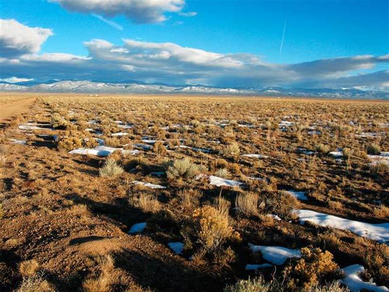 Mountain Views Galore on This Land : Blanca : Costilla County : Colorado